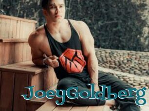 JoeyGoldberg
