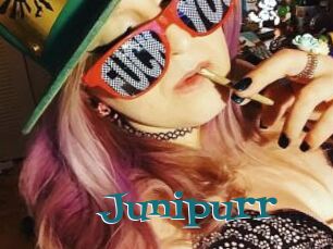 Junipurr