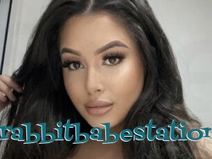 Jaderabbitbabestation