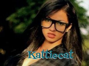 Kattiecat