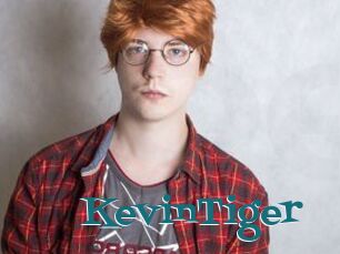 KevinTiger
