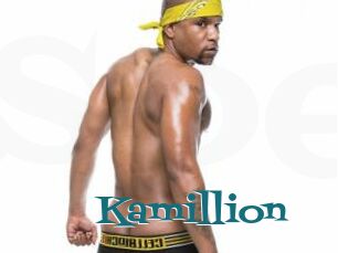 Kamillion