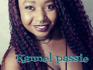Kannel_passie