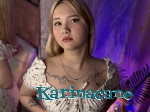 Karinacane
