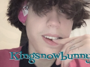 Kingsnowbunny