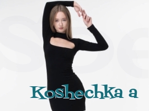 Koshechka_a