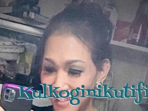 Kulkoginikutifi