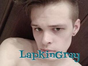 LapkinGray