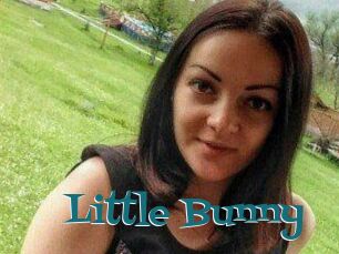Little_Bunny_