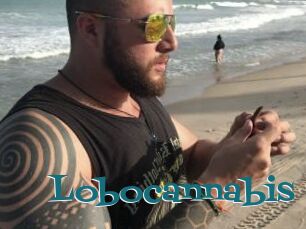 Lobocannabis