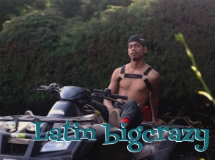 Latin_bigcrazy