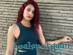 Leahmorgaan