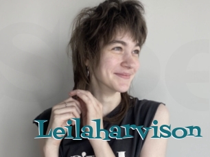 Leilaharvison