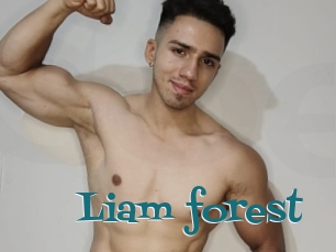 Liam_forest