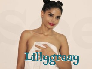 Lillygraay