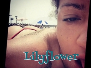 Lilyflower