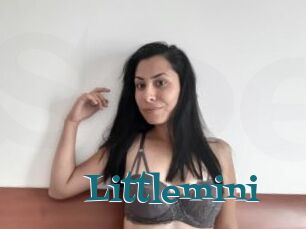 Littlemini