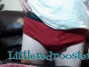 Littleredrooster