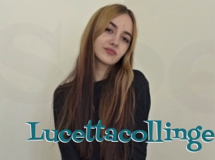 Lucettacollinge