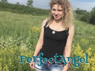 PerfectAngel