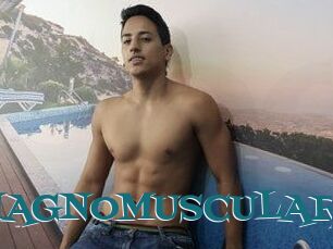 MAGNOMUSCULAR