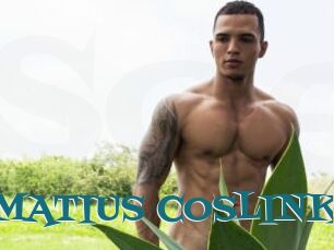 MATIUS_COSLINK