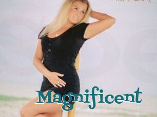 Magnificent