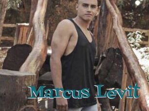 Marcus_Levit