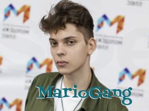 MarioGang