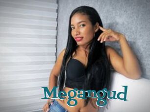 Megangud