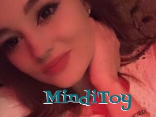MindiToy