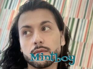 Mintboy