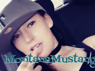 MontanaMustange