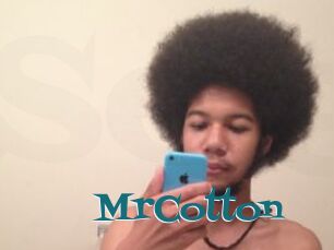 MrCotton