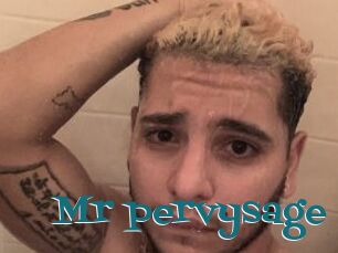 Mr_pervysage