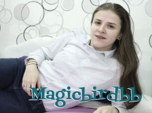 Magicbirdbb