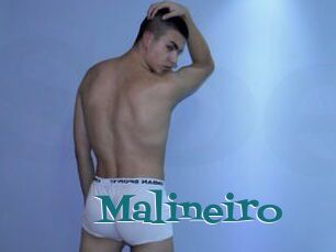 Malineiro