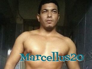 Marcellus20