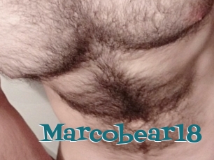 Marcobear18