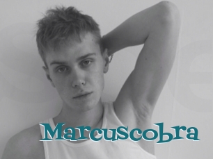 Marcuscobra