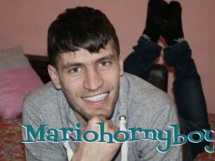 Mariohornyboy