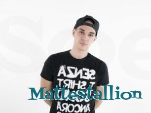 Mattestallion