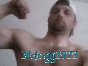 Mdogg1977
