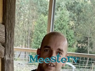 Meesterv
