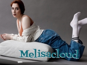 Melisacloud