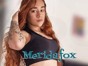 Meridafox