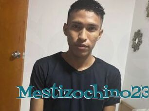 Mestizochino23