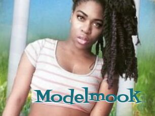 Modelmook
