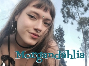 Morgandahlia
