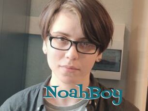 NoahBoy